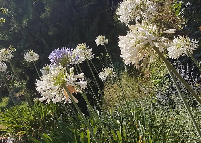 La Guidi Frühstückspension 4*