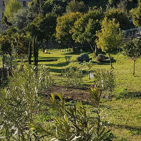 La Guidi