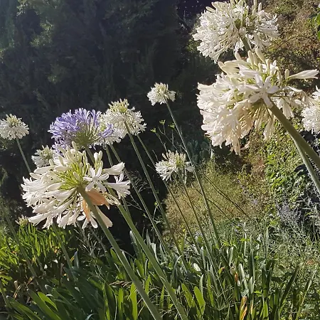 La Guidi Nocleg ze śniadaniem 4*
