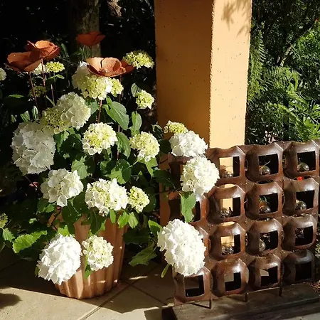 La Guidi