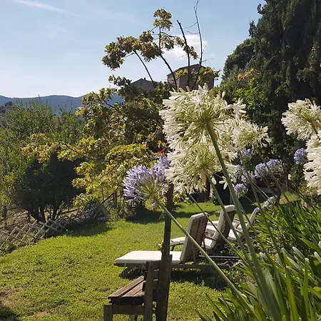 La Guidi Bed & Breakfast Pila-Canale