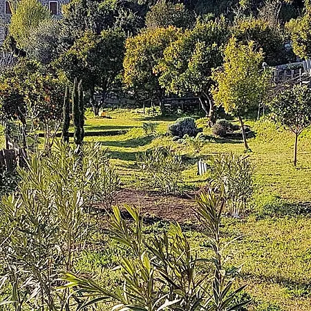 Bed & Breakfast La Guidi 4*
