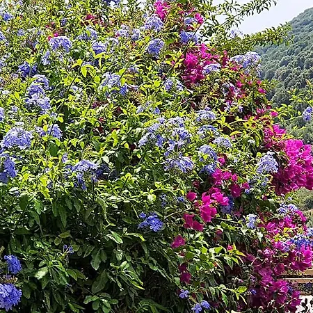 La Guidi Bed & Breakfast Pila-Canale