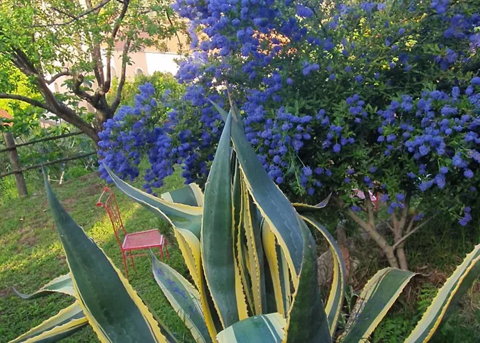 Bed & Breakfast La Guidi