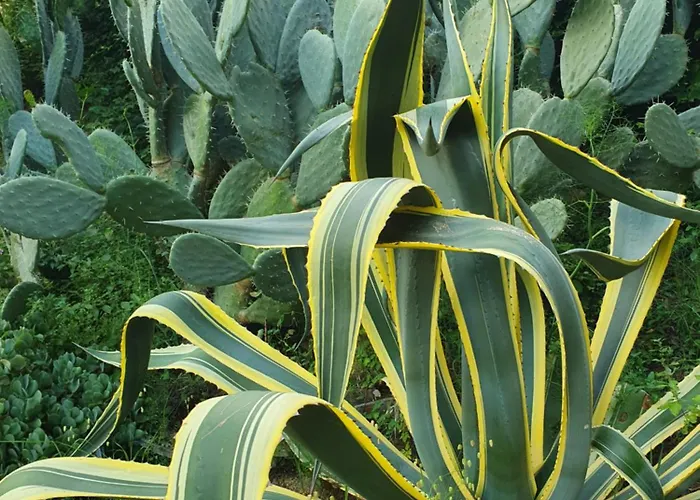 La Guidi Bed & Breakfast