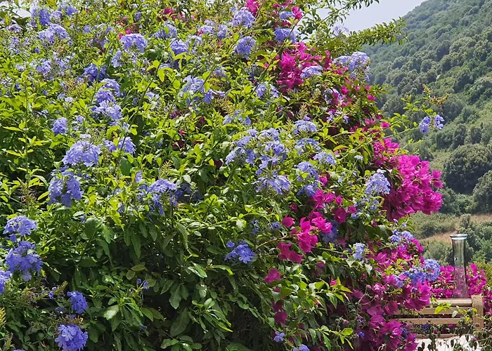 Bed & Breakfast La Guidi Pila-Canale